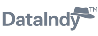 DataIndy Logo